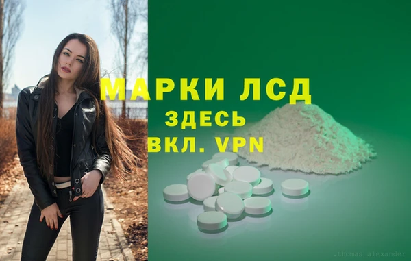 гидра Богородск