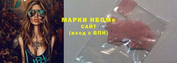 гидра Богородск