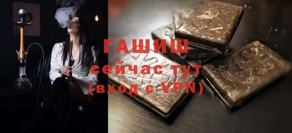 гидра Богородск