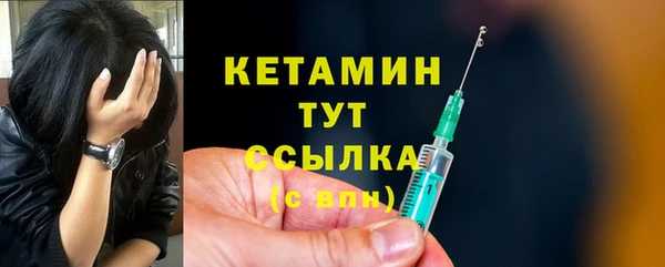 гидра Богородск