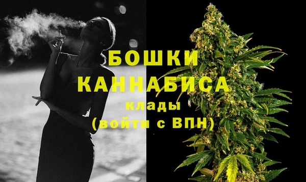 гидра Богородск