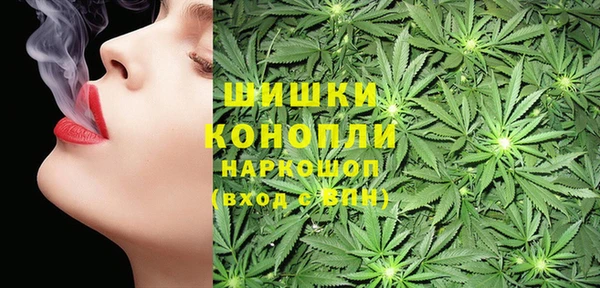 гидра Богородск