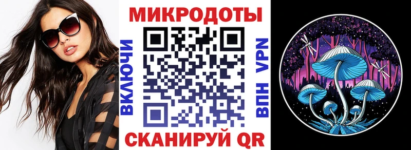Псилоцибиновые грибы Psilocybine cubensis  Энем 